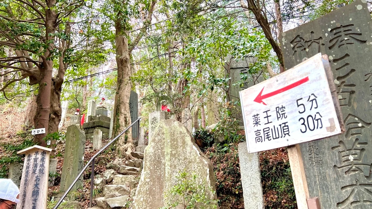 Sendero de Montaña Takao