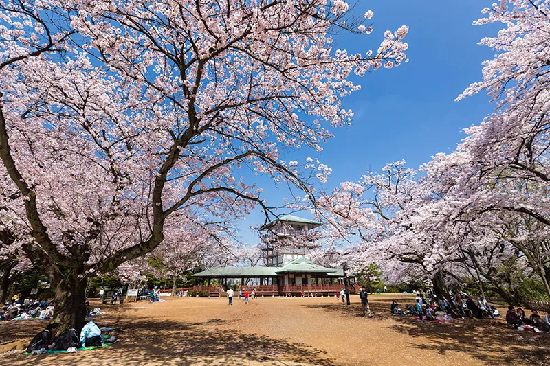 Parque Ikuta Ryokuchi