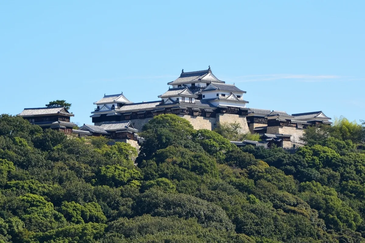 Castillo de Matsuyama