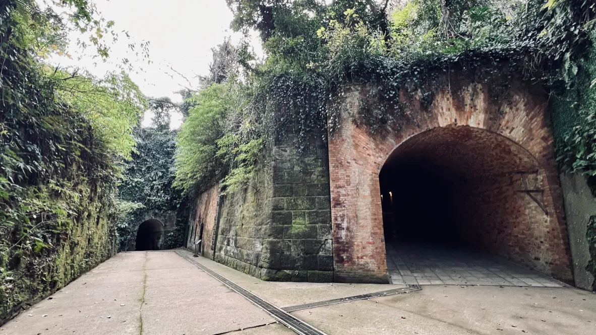 Ruinas de la fortaleza consumidas por la naturaleza