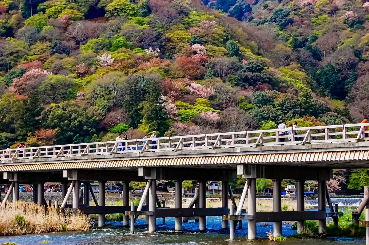 Primavera en el Puente Togetsukyo