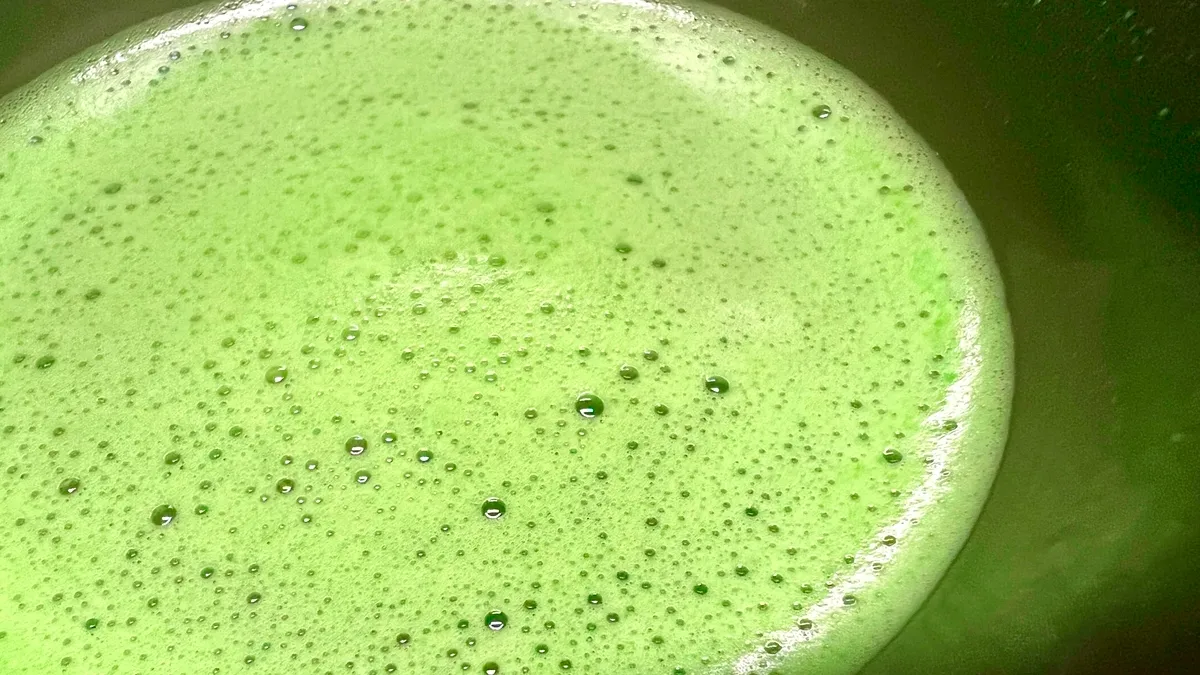 Matcha