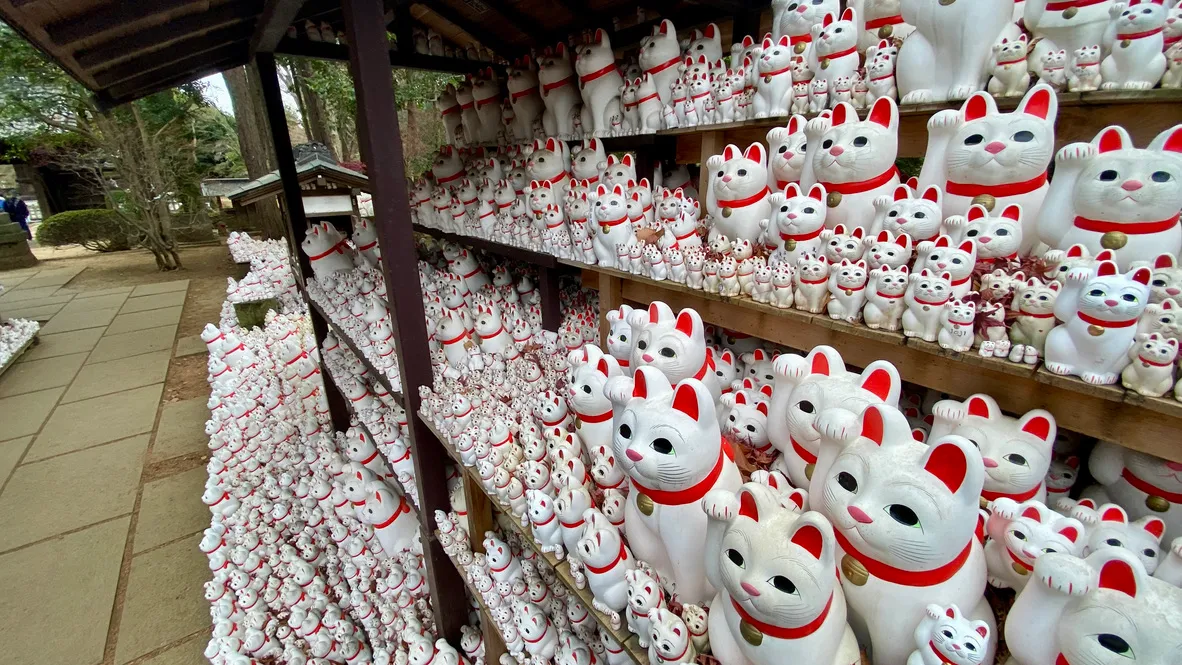 Maneki-neko