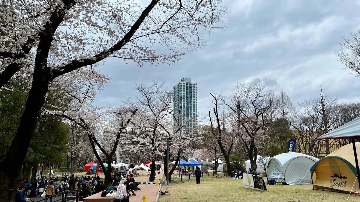 Cerezos en flor en el Parque Central de Shinjuku