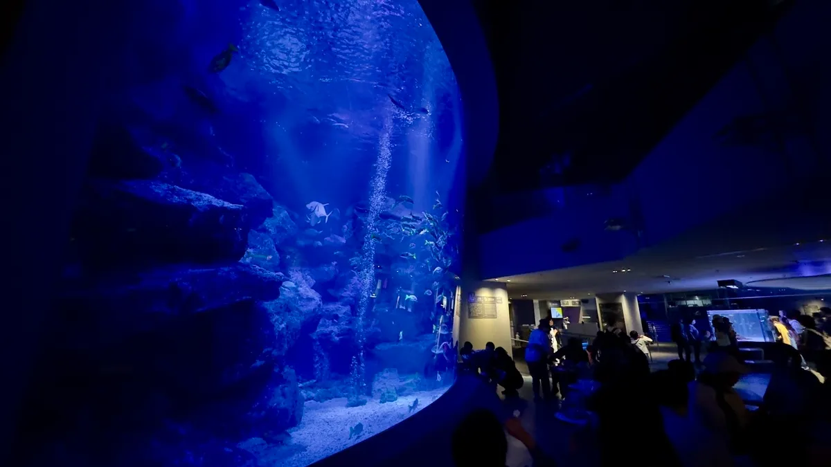 Acuario gigante
