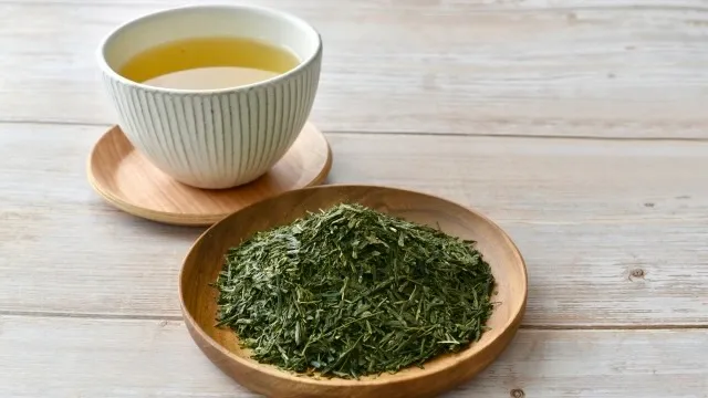 Sencha