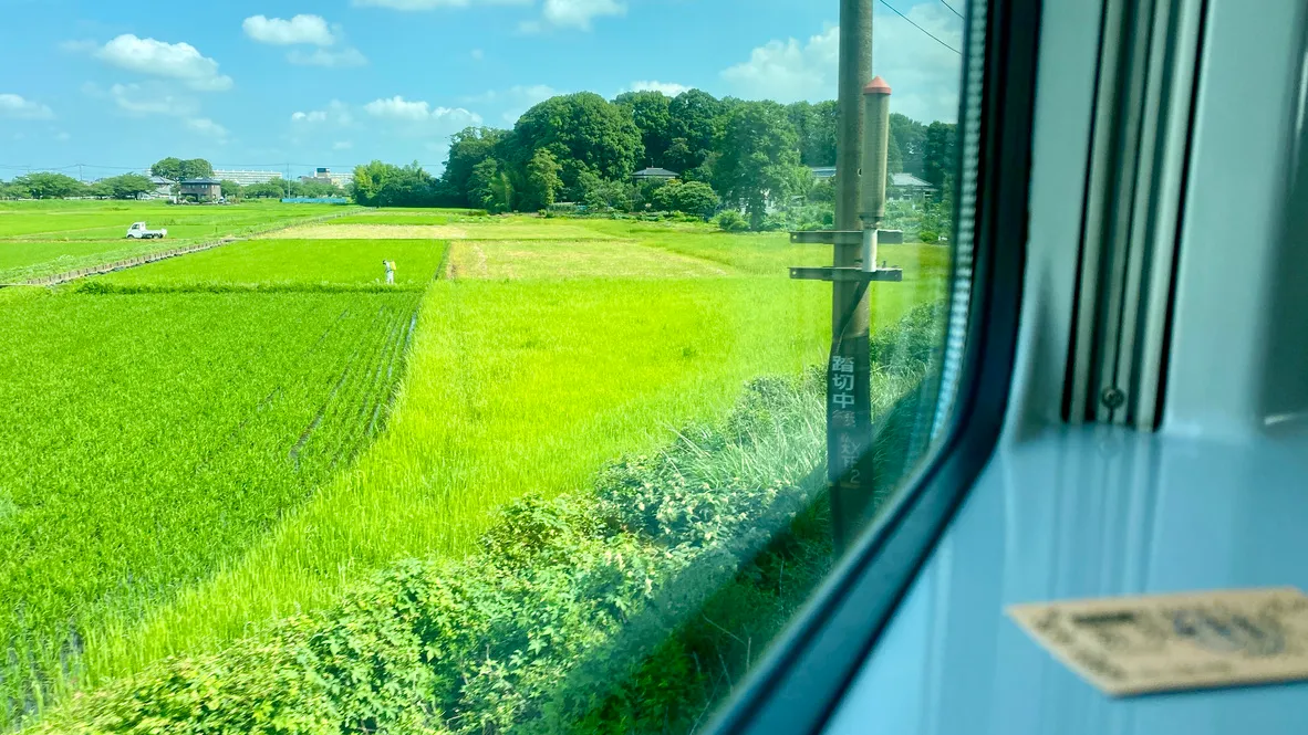 Paisaje rural que se extiende desde la ventanilla del tren