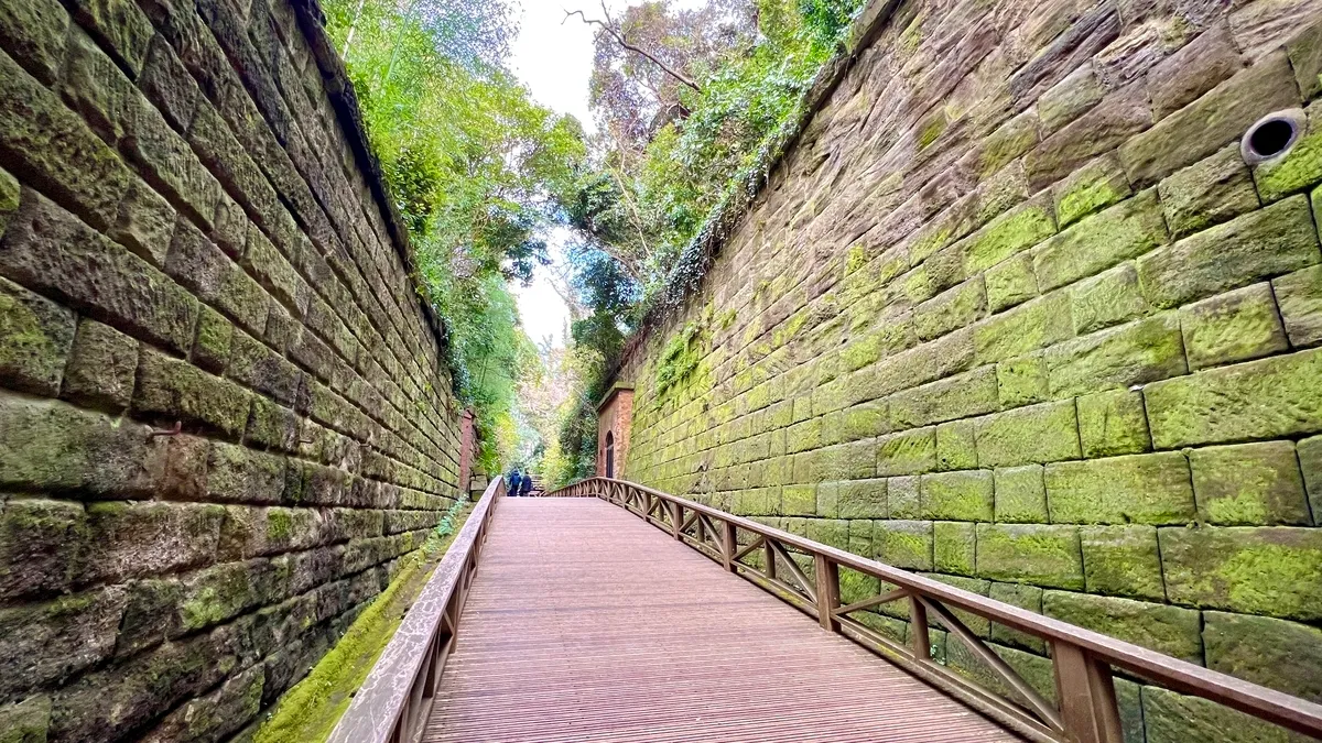 Ruinas de la fortaleza consumidas por la naturaleza