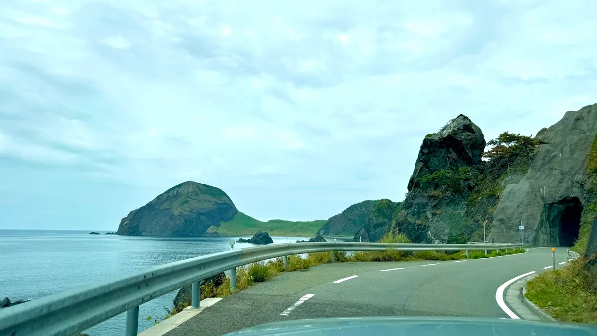 Conducción con Vista al Océano