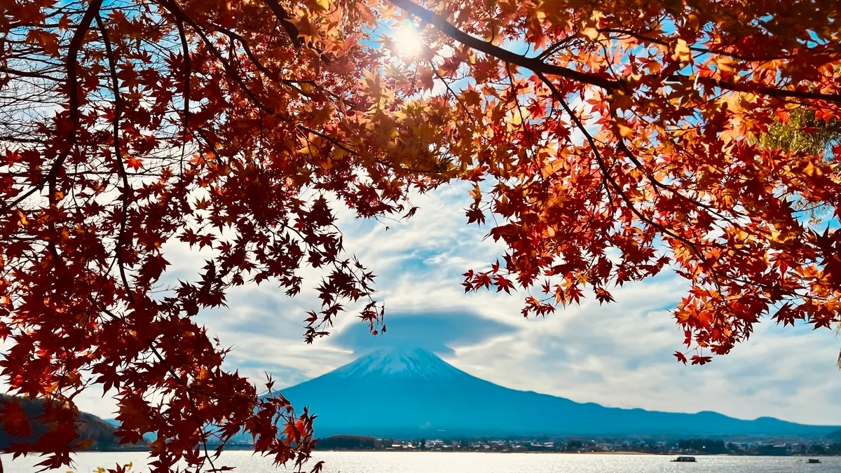 Monte Fuji y follaje otoñal