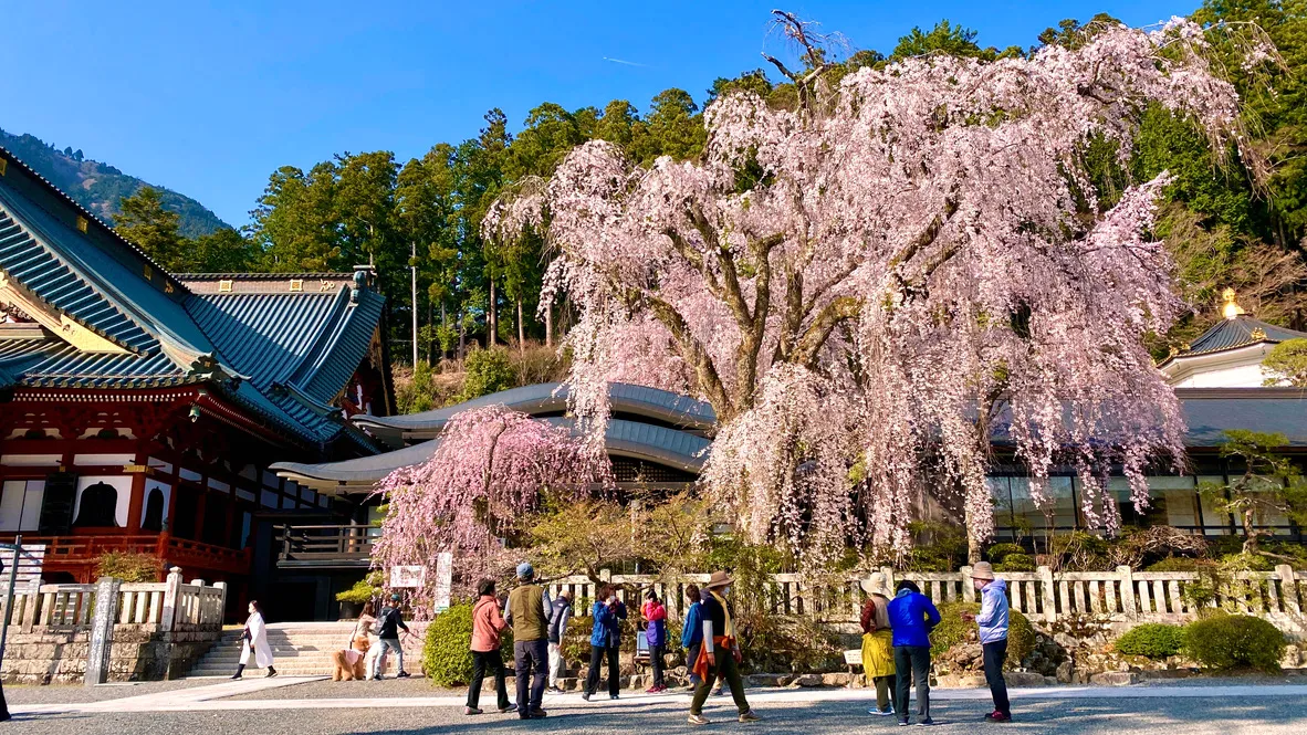 Templo Kuonji