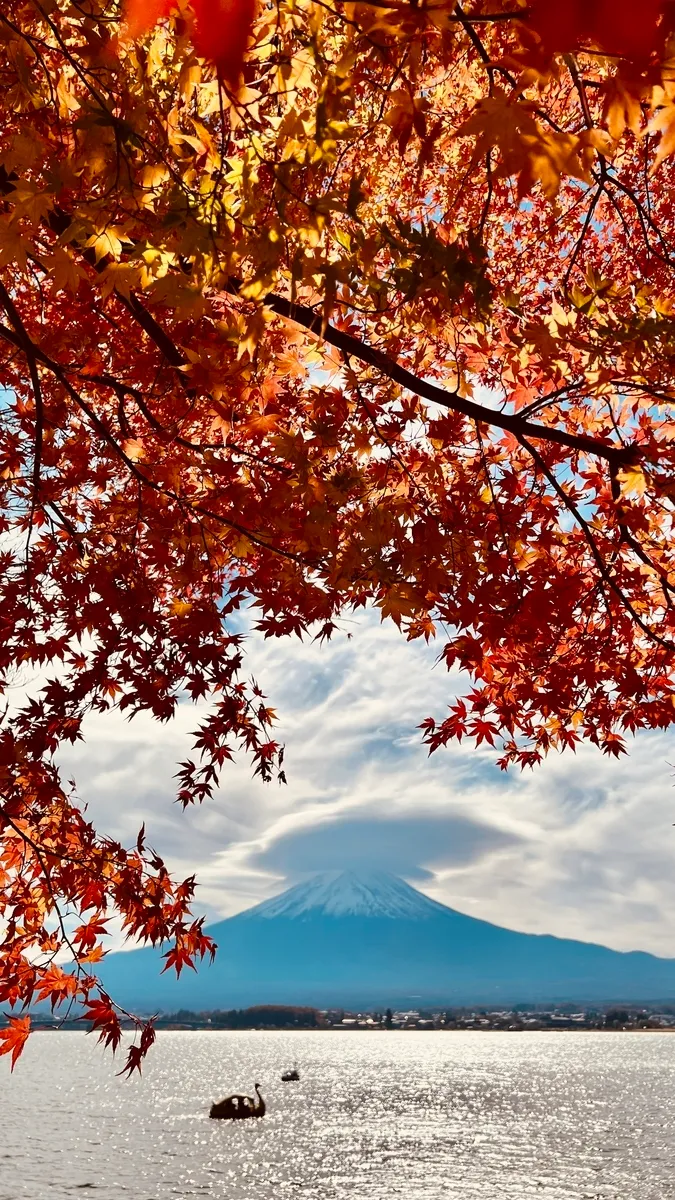 Monte Fuji y colores otoñales