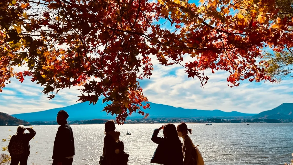 Monte Fuji y follaje otoñal