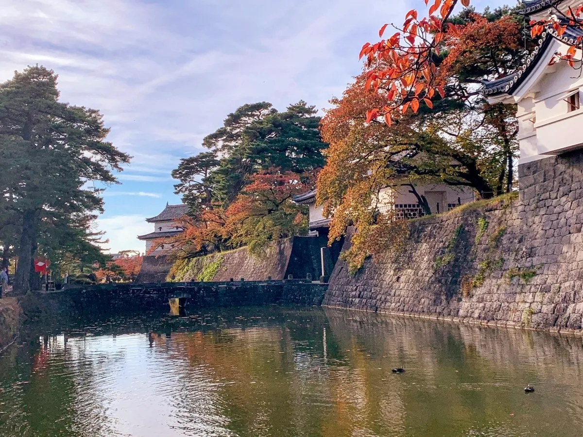 Hojas de otoño y castillo Shibata