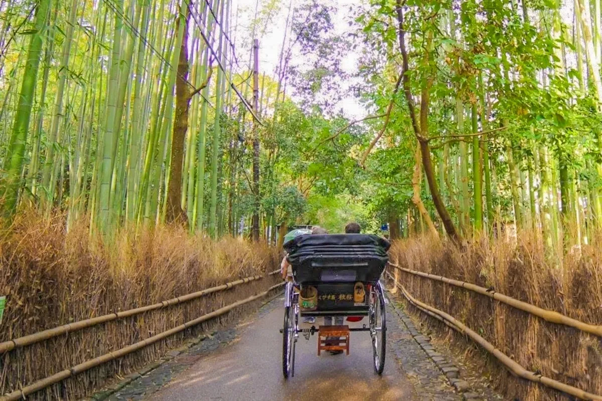 Paseo en jinrikisha por el Bosque de Bambú