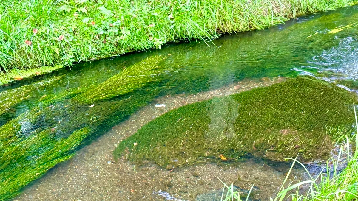 Vista del lecho del río