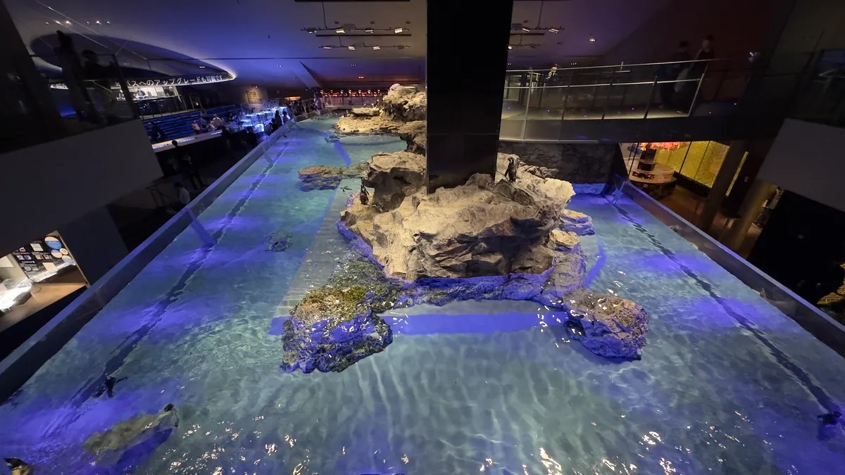 Piscina de Pingüinos
