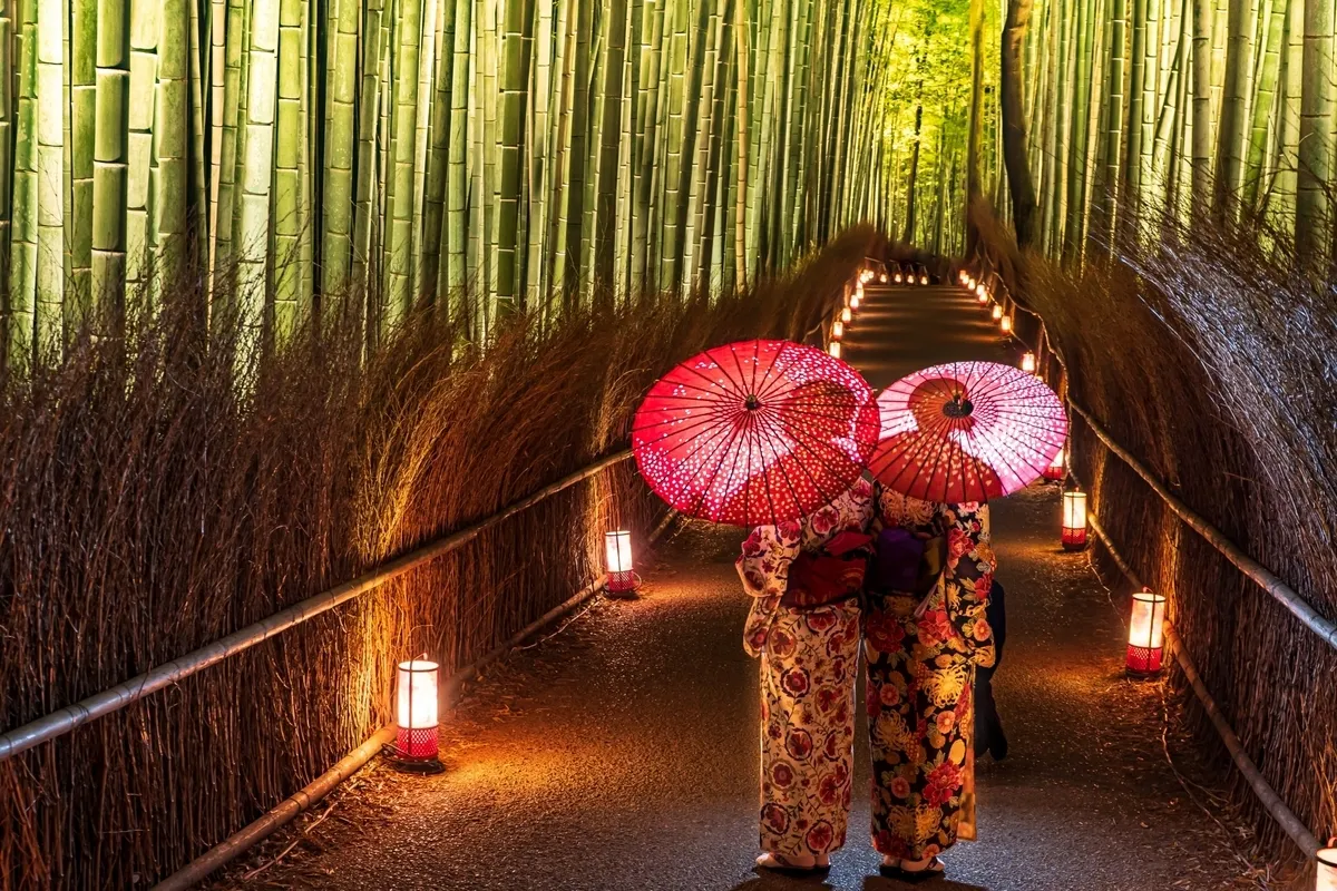 Iluminación del Bosque de Bambú de Arashiyama