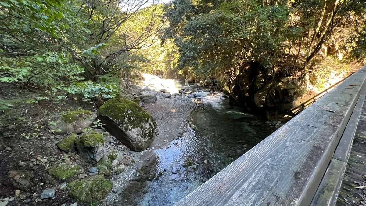 Vista desde el puente