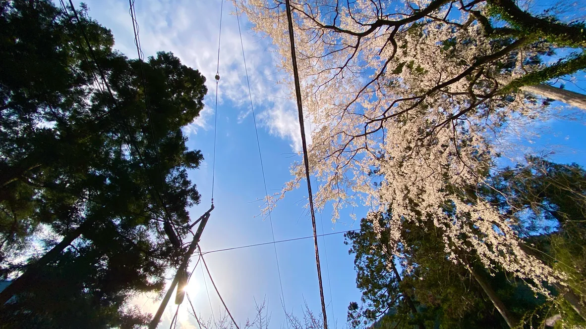 Templo Kuonji