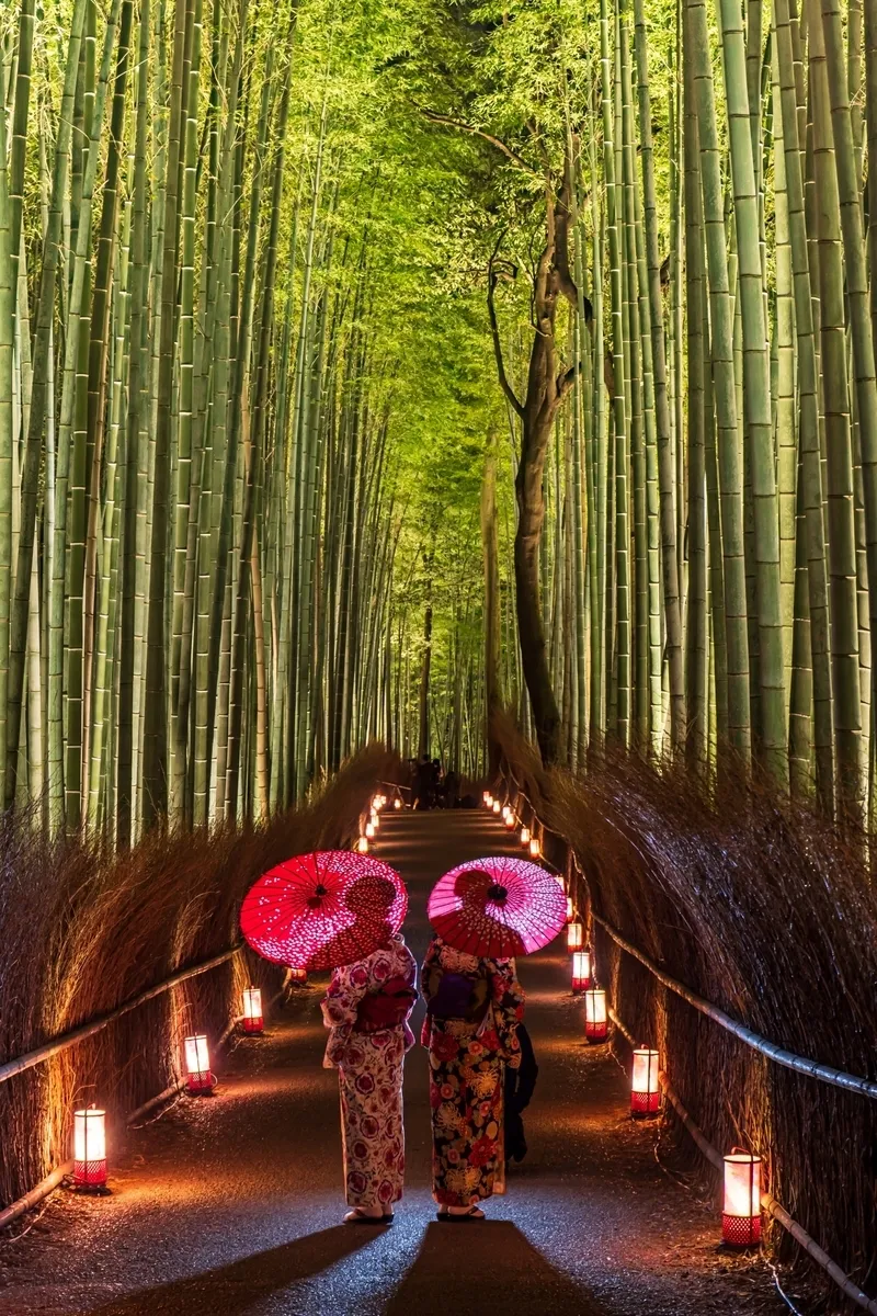 Iluminación del Bosque de Bambú de Arashiyama