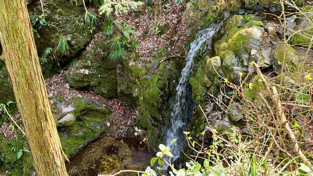 Cascada de Goshuden