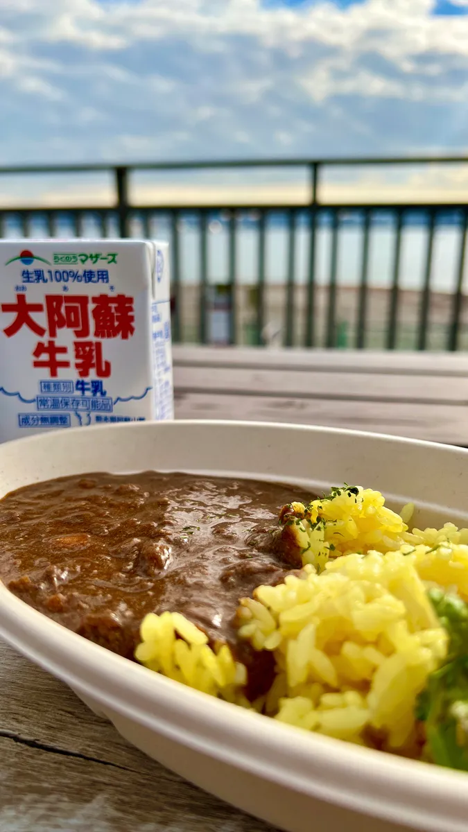 Curry de la Armada de Yokosuka