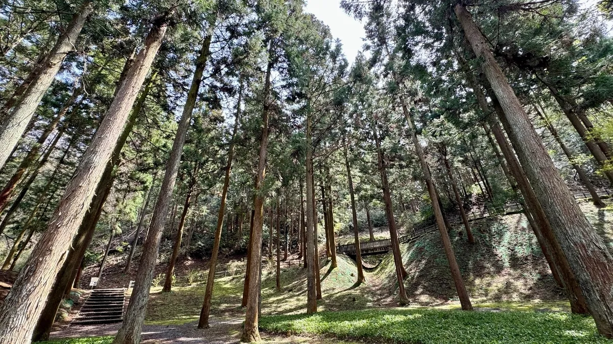 Sendero de Caminata