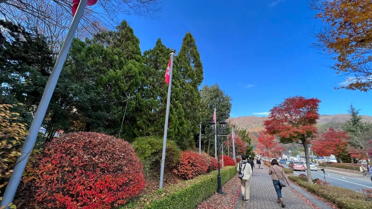 Momiji Kaido