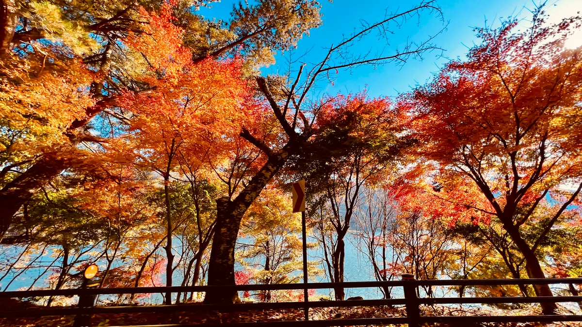 Playa Nebahama del Lago Shoji