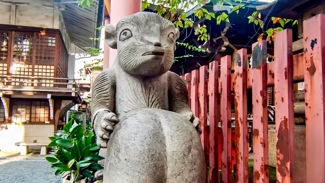 Estatua de mapache