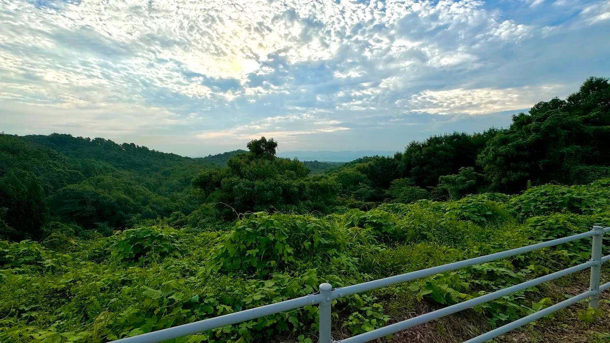 Vista desde las montañas