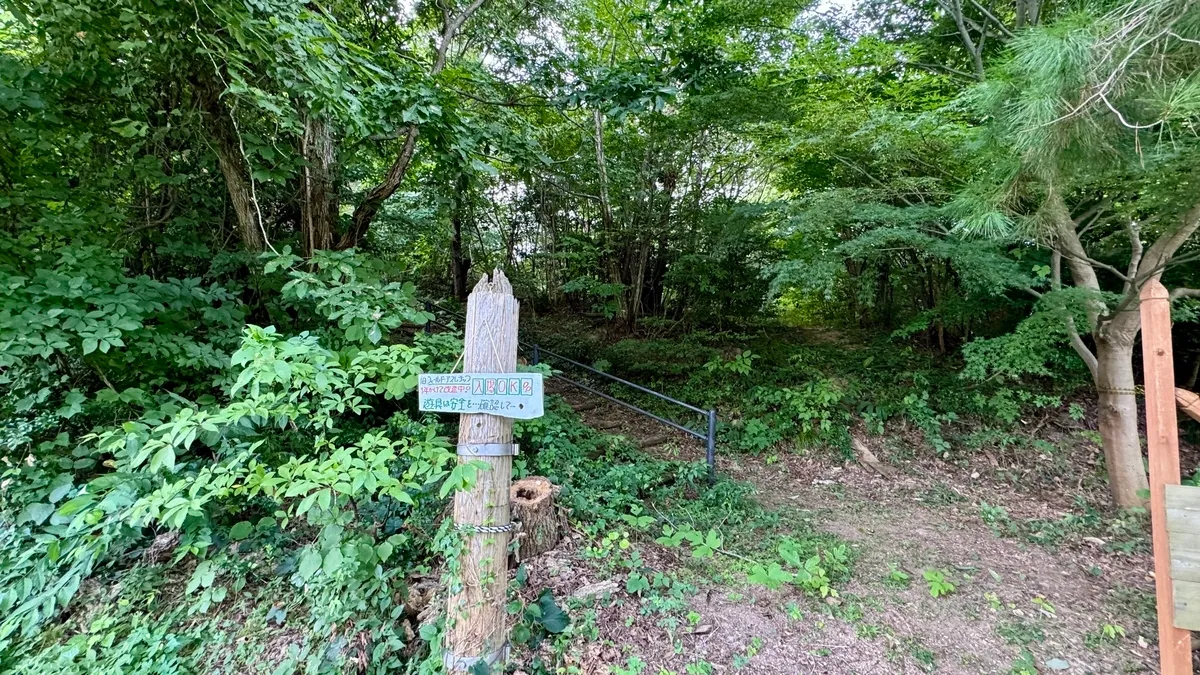 Laberinto atlético en el bosque