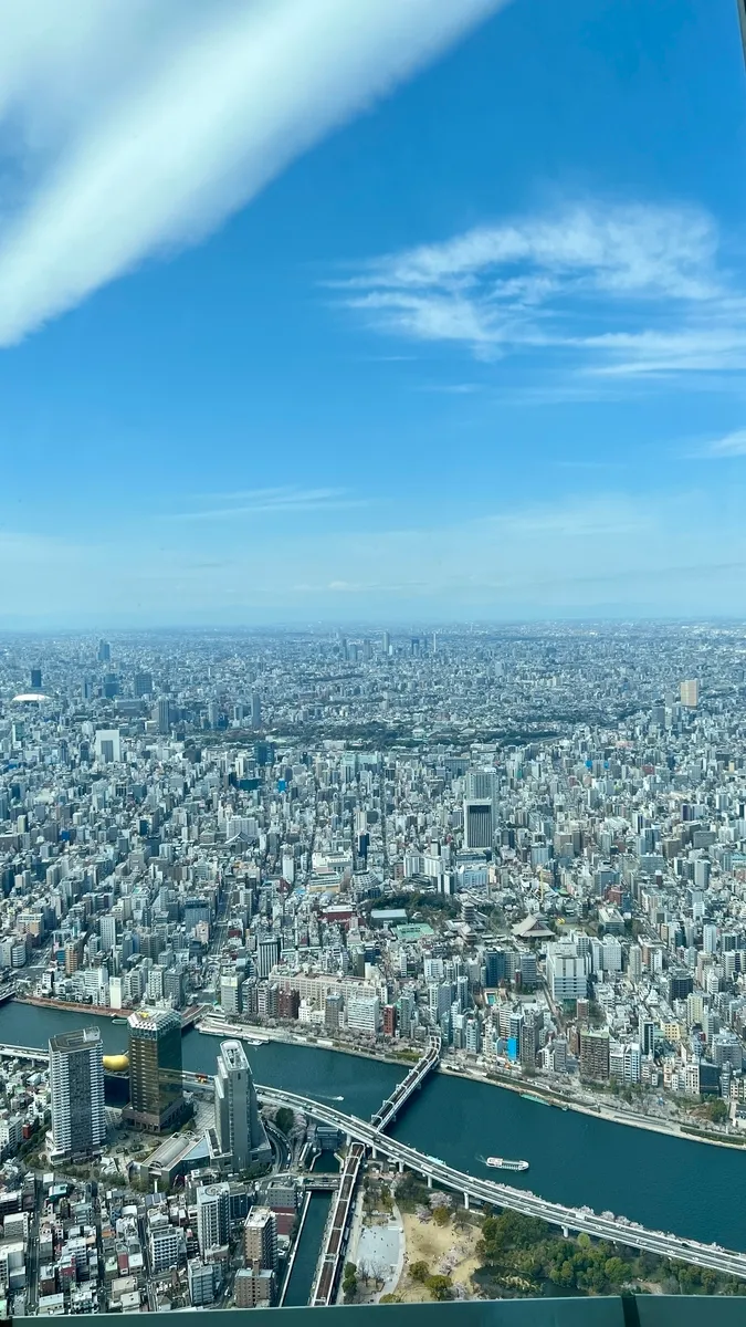 Vistas desde el Tembo Galleria
