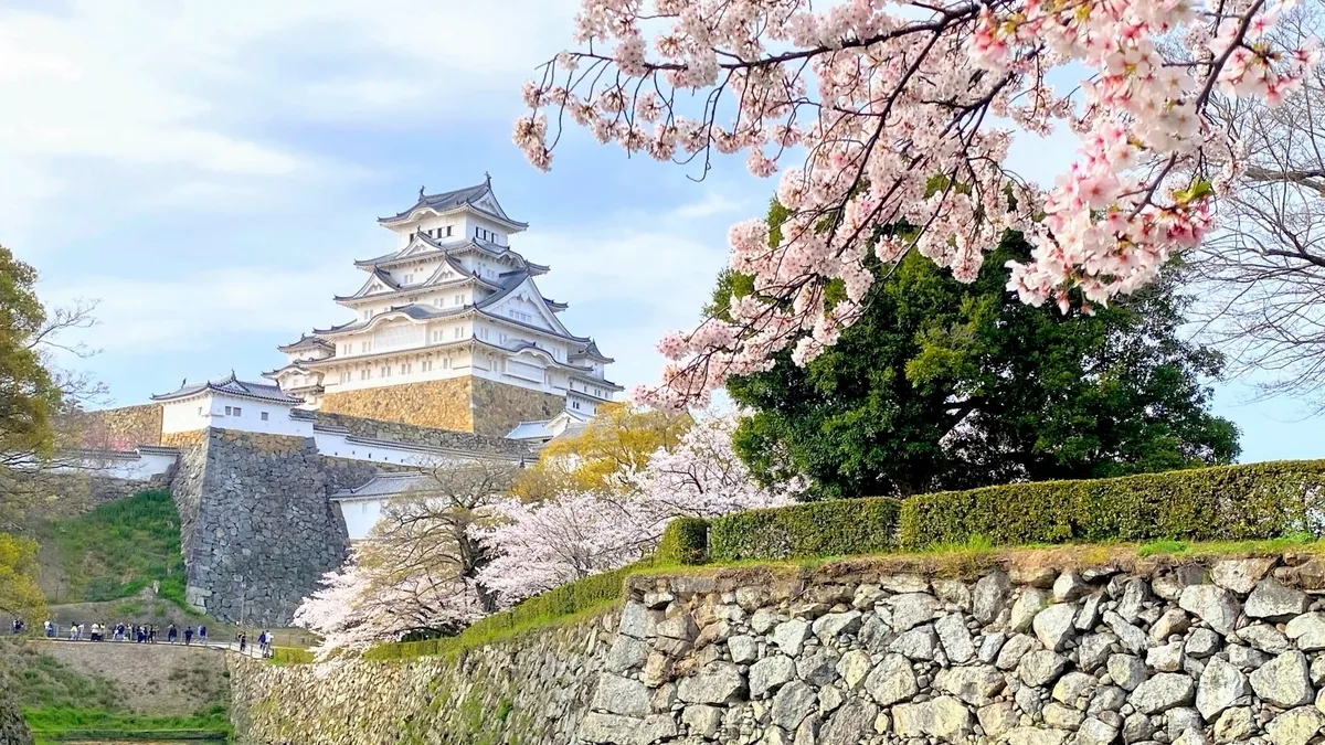 Castillo de Himeji con cerezos en flor