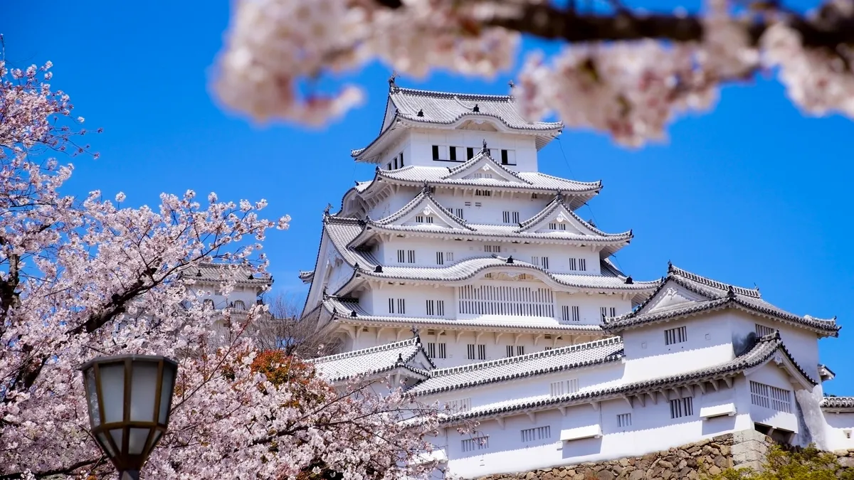 Castillo de Himeji con cerezos en flor