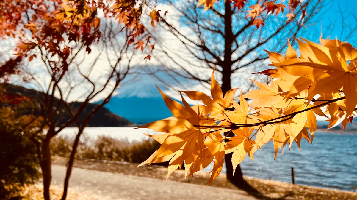 Colores otoñales en el Lago Kawaguchi