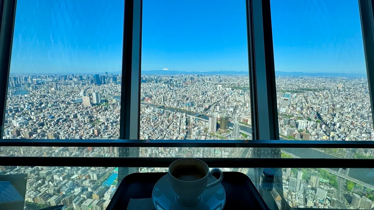 Vista panorámica