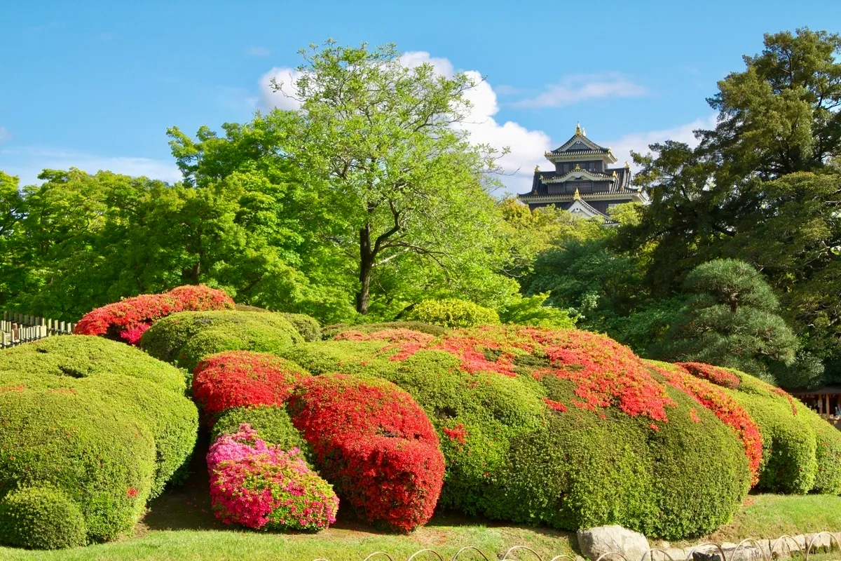 Jardín Korakuen de Okayama