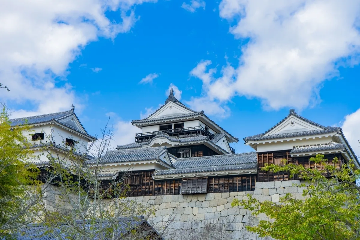 Castillo de Matsuyama
