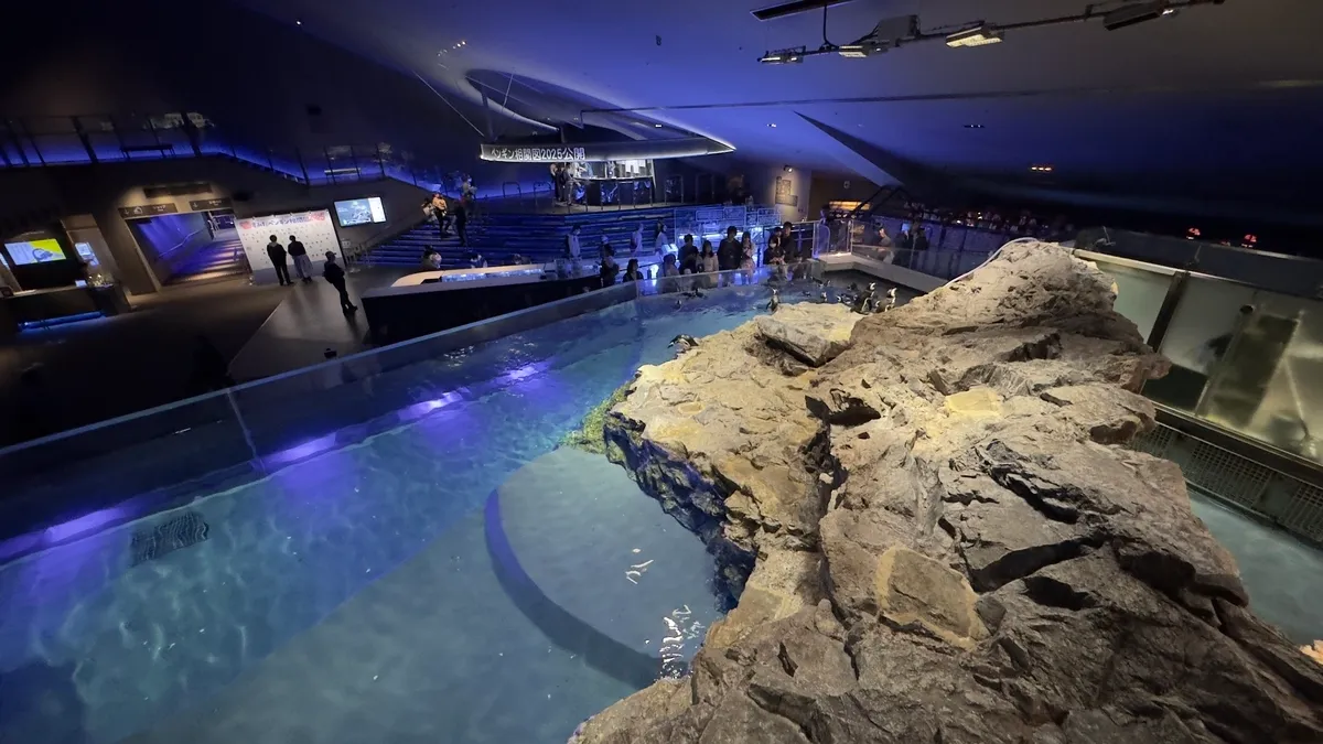 Interior del Acuario