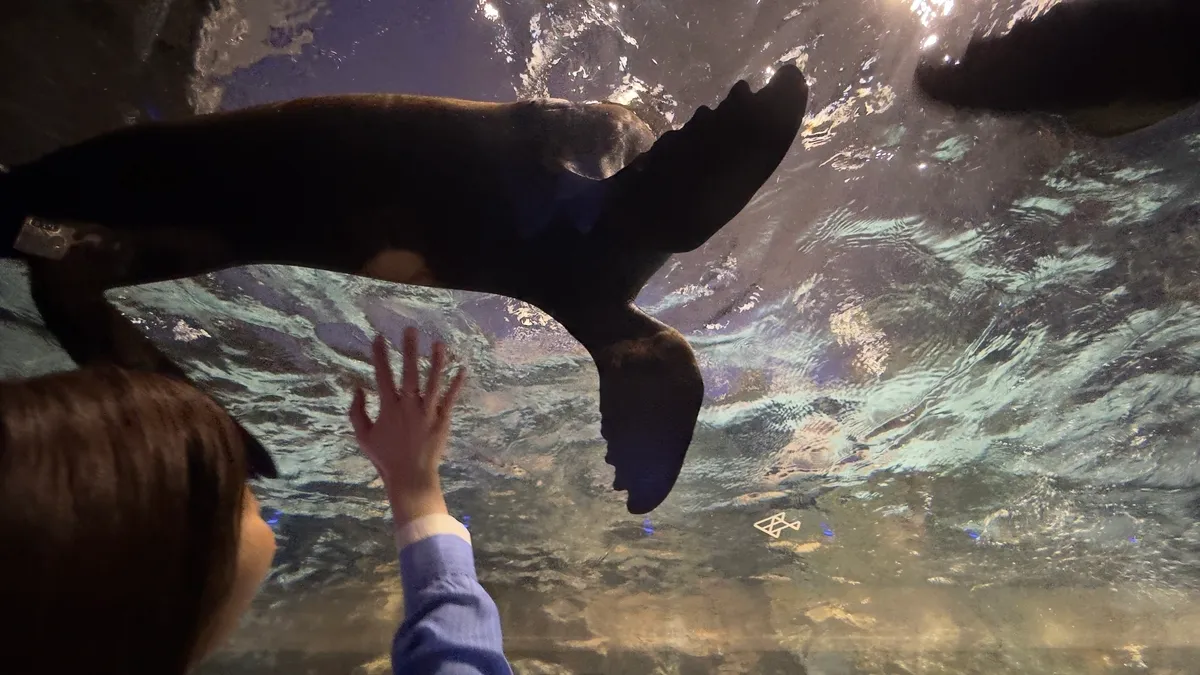 Interior del Acuario