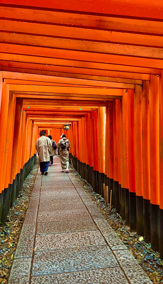 Mil Puertas Torii