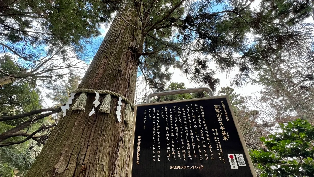 Monte Takao