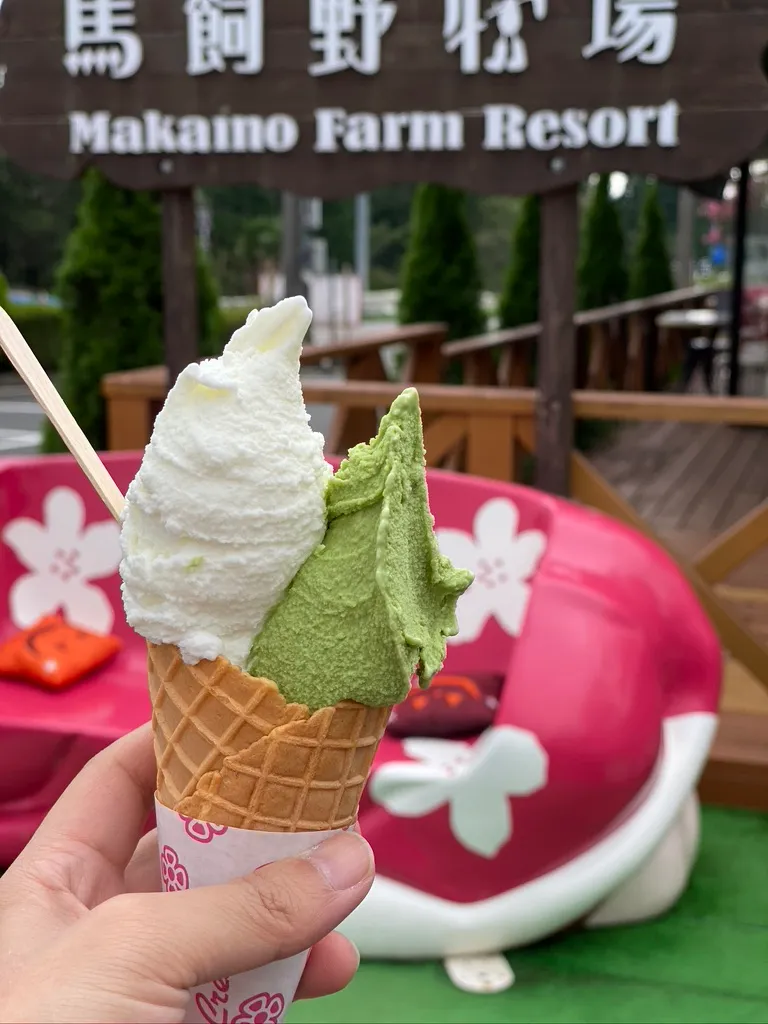 Doble bola de helado de leche y matcha de Shizuoka