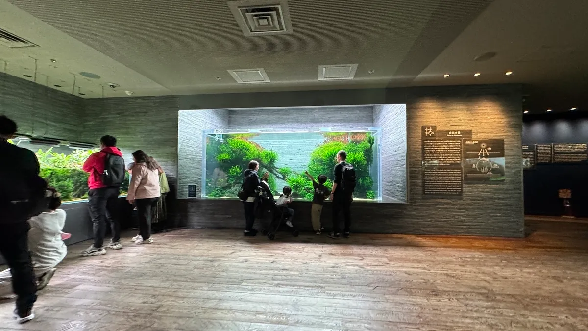 Interior del Acuario