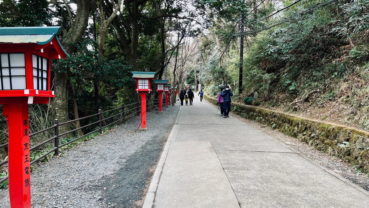 Farolillos rojos y sendero