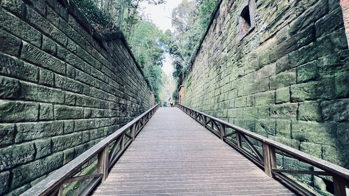 Paredes de hormigón cubiertas por la naturaleza