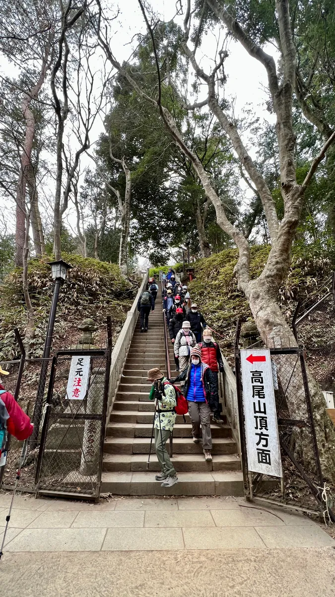 Escaleras hacia la cima