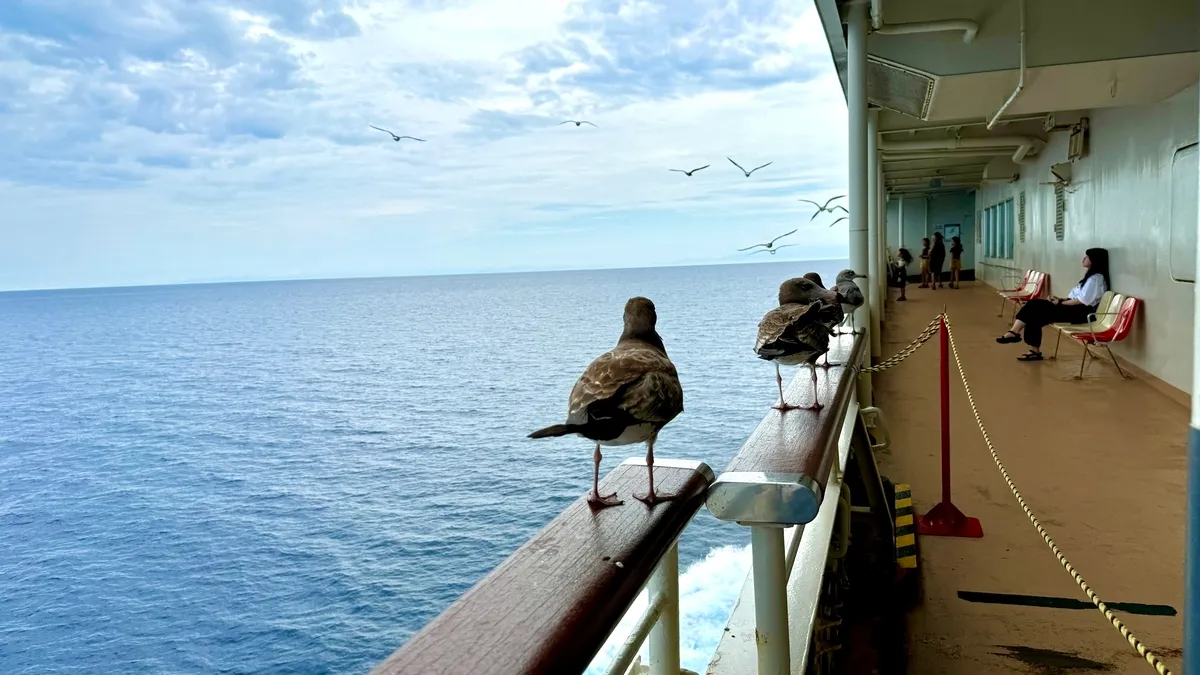 Gaviotas